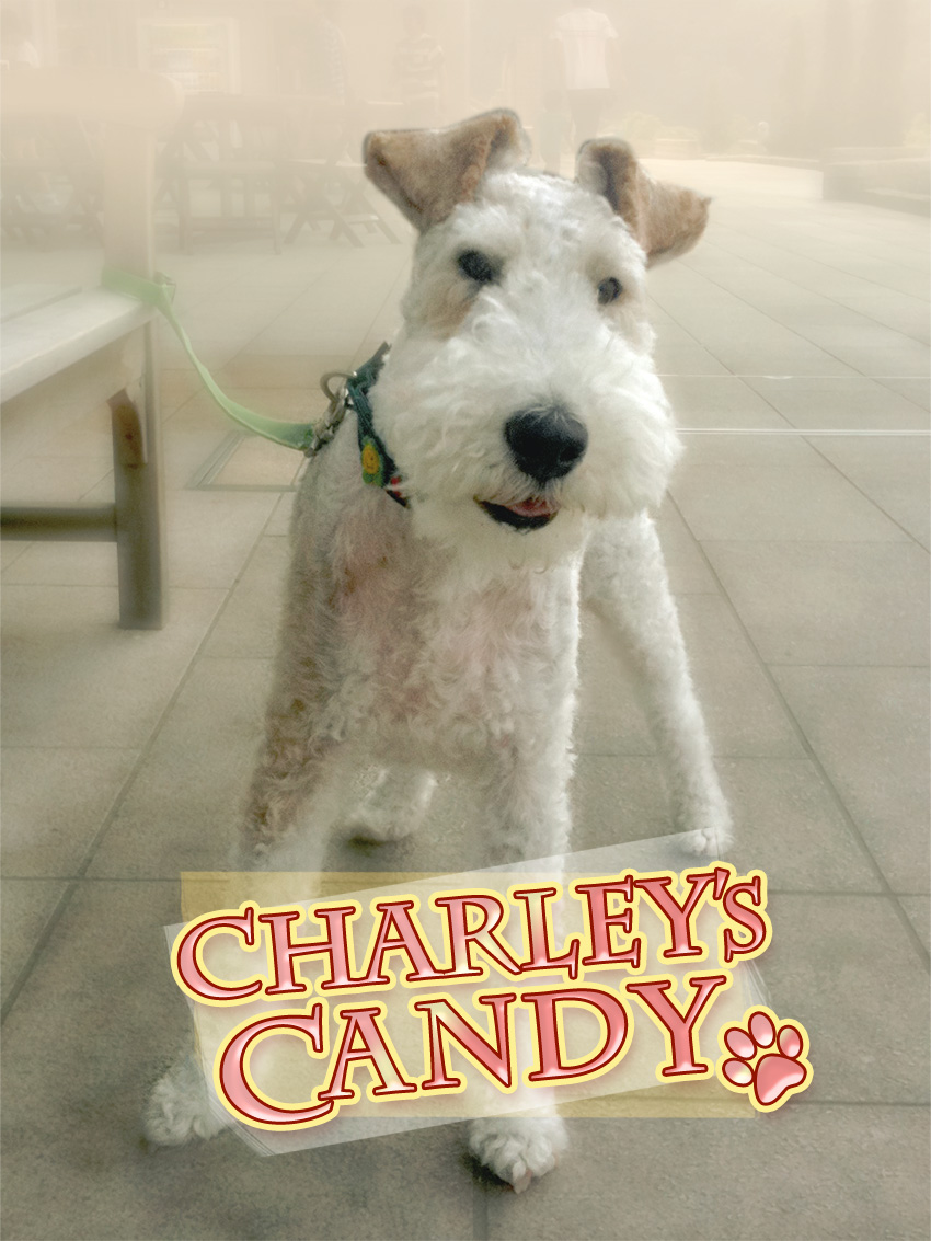 IMG_3088candy.jpg