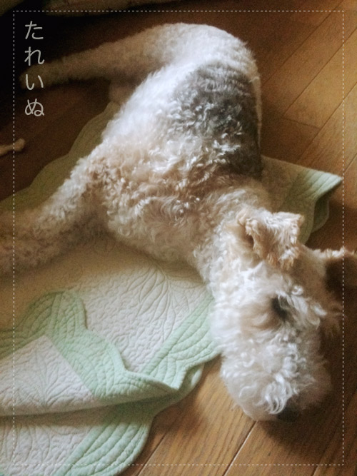 charley100917_01.jpg