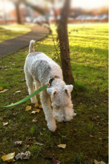 image-20101107161638.png